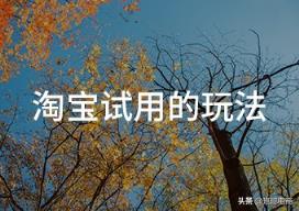 淘宝试用是怎么回事（进入淘宝试用中心方法）