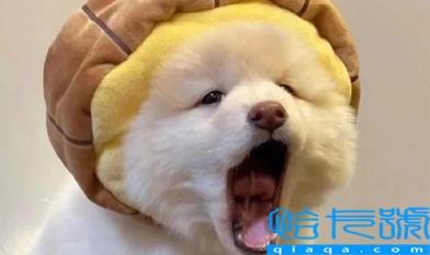 男人真正放弃你会更换头像吗(男生会故意换情头刺激女生吗)