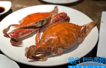 梭子蟹没熟吃了怎么办(吃了没熟的梭子蟹怎么缓解)