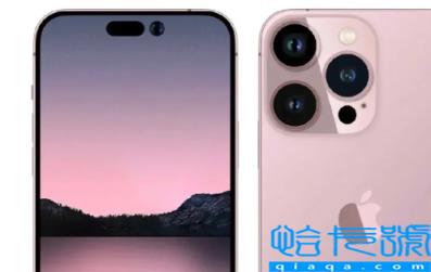 iPhone14序列号在哪看(苹果iPhone14能解决信号问题吗)