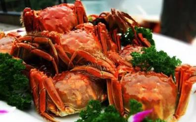 2022年螃蟹什么时候上市(2022年螃蟹产量如何)