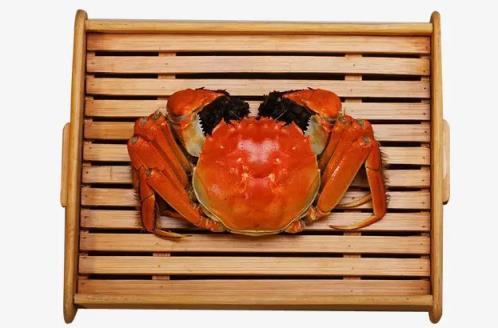 2022年大闸蟹什么月份上市(2022年大闸蟹什么时候开捕)