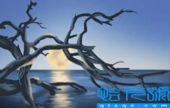 2023年兔年犯月是几月(属兔的犯月不能做什么)