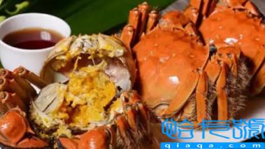 2022阳澄湖大闸蟹十月份才上市吗(今年阳澄湖大闸蟹为什么这么晚上市)