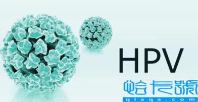 支付宝九价疫苗预约要多久(支付宝九价疫苗预约成功怎么看)