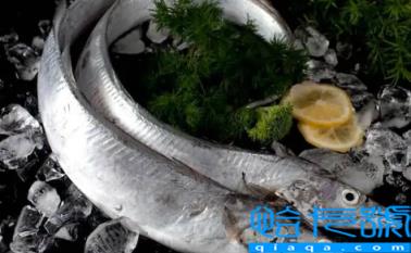 刀鱼是淡水鱼还是海鱼(刀鱼的营养价值及功效有哪些)