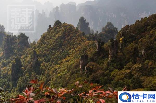 像素是什么意思(像素的定义和分辨率)