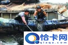 大连输油管爆炸事件烈火英雄(大连7·16油爆火灾牺牲人员)