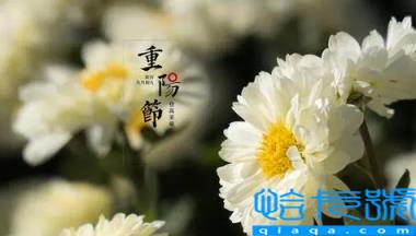 2022年学校重阳节什么时候开始(2022年重阳节是公历几月几日)