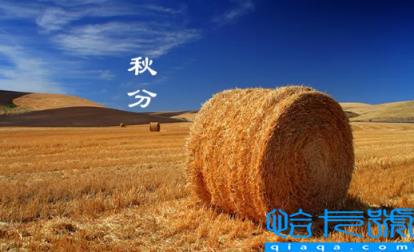 2022年秋分是农历几月几号几点几分几秒(秋分节气还是哪一天什么时候)