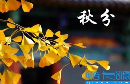 2022年秋分是农历几月几号几点几分几秒(秋分节气还是哪一天什么时候)