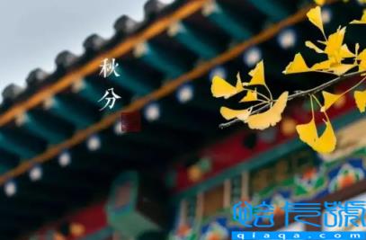 2022年秋分是农历几月几号几点几分几秒(秋分节气还是哪一天什么时候)