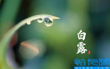 2022年白露在什么时间几点几分几秒钟(2022白露是几月几日星期几)