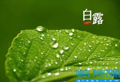 2022年白露在什么时间几点几分几秒钟(2022白露是几月几日星期几)