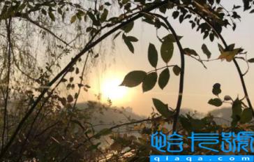 2022年重阳节天气冷吗(2022年重阳节天气怎么样)