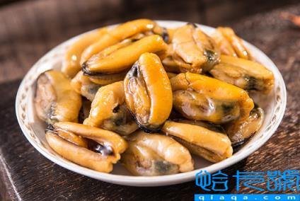 淡菜干的功效与作用(淡菜干的营养价值及吃法)