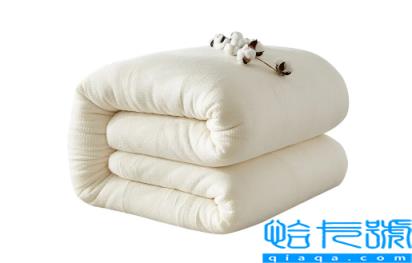 什么被子最暖和最舒服(什么被子又轻又暖和又健康)
