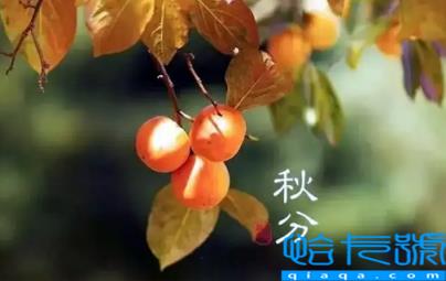 2022年秋分节气在南方热不热(南方秋分后天气还热吗)