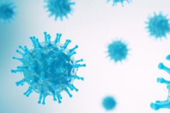 印度北部出现不明传染性疾病(印度北部传染病有哪些)