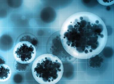 印度北部出现不明传染性疾病(印度北部传染病有哪些)