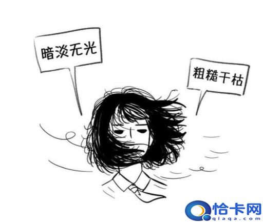 有哪些好用的男士洗发水值得推荐买(有没有好用的男士洗发水推荐)