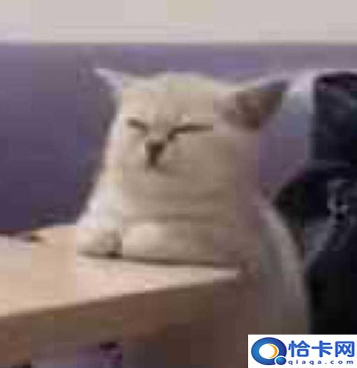 有哪些好用的男士洗发水值得推荐买(有没有好用的男士洗发水推荐)