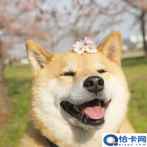 有哪些好用的男士洗发水值得推荐买(有没有好用的男士洗发水推荐)