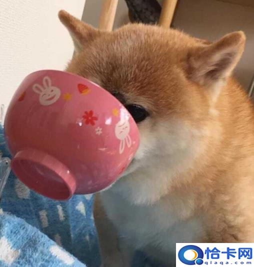 有哪些好用的男士洗发水值得推荐买(有没有好用的男士洗发水推荐)