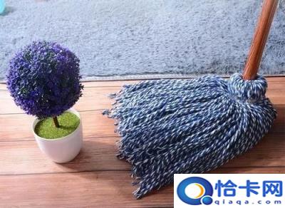 家庭好用的拖把是哪一种(哪种拖把好用,家里用的)