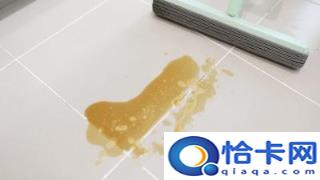 家庭好用的拖把是哪一种(哪种拖把好用,家里用的)