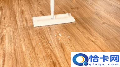 家庭好用的拖把是哪一种(哪种拖把好用,家里用的)