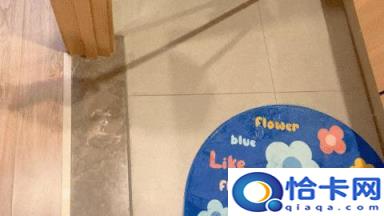 家庭好用的拖把是哪一种(哪种拖把好用,家里用的)