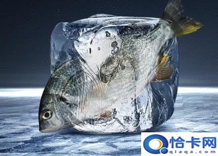 海尔和美的冰箱哪个更好一些(美的冰箱和海尔冰箱哪个更好一点)