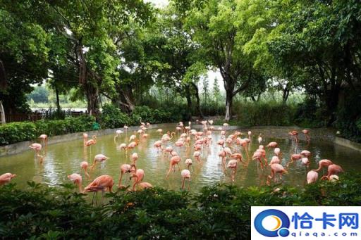 肇庆自驾旅游攻略必去景点(肇庆自驾游一日游攻略)