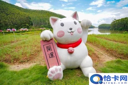 肇庆自驾旅游攻略必去景点(肇庆自驾游一日游攻略)