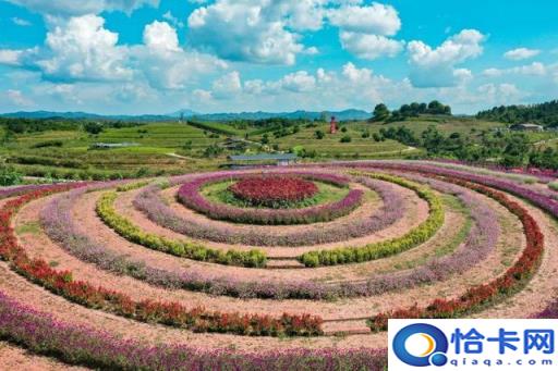 肇庆自驾旅游攻略必去景点(肇庆自驾游一日游攻略)