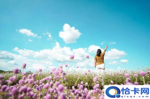 肇庆自驾旅游攻略必去景点(肇庆自驾游一日游攻略)