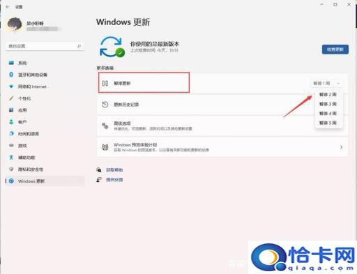 怎么停止win11更新(如何关闭windows11更新)