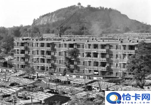 1976唐山大地震幸存者三十个故事(重生唐山大地震前)