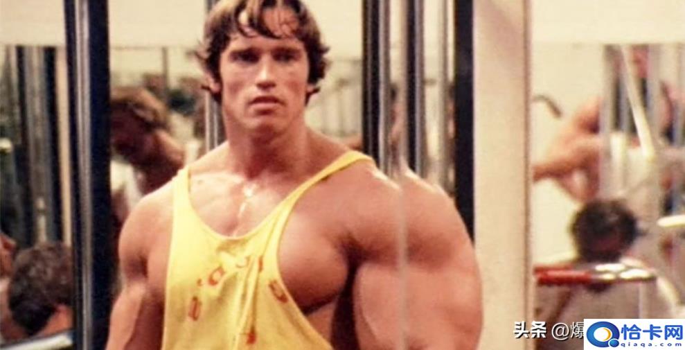 施瓦辛格影视作品(施瓦辛格电影全集)