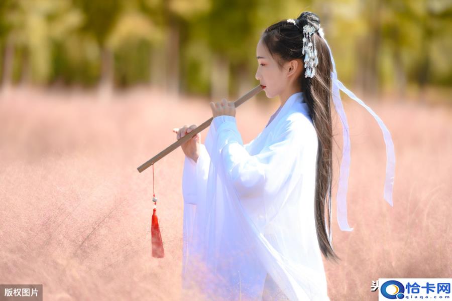 山有木兮木有枝.心悦君兮君不知什么意思(山有木兮木有枝心悦君兮君不知什么意思)