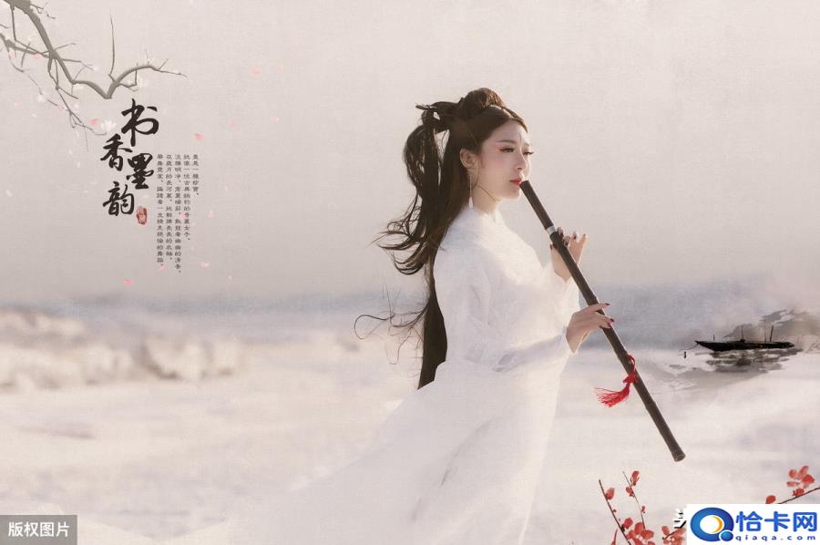 山有木兮木有枝.心悦君兮君不知什么意思(山有木兮木有枝心悦君兮君不知什么意思)