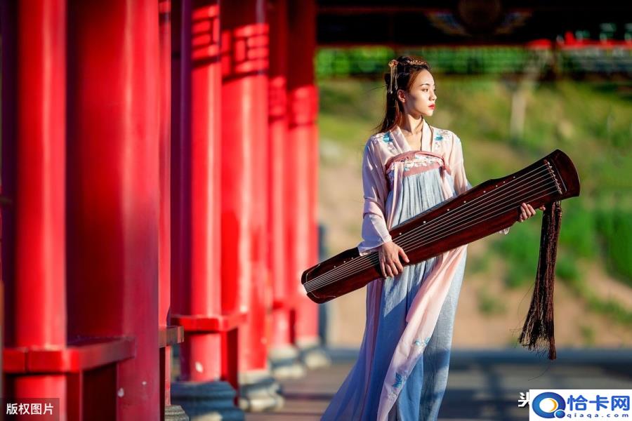 山有木兮木有枝.心悦君兮君不知什么意思(山有木兮木有枝心悦君兮君不知什么意思)