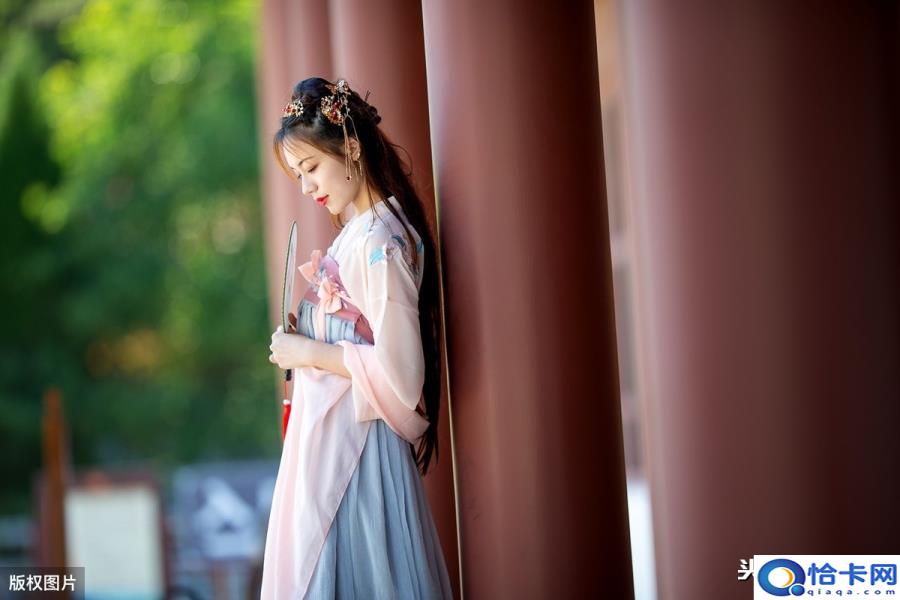 山有木兮木有枝.心悦君兮君不知什么意思(山有木兮木有枝心悦君兮君不知什么意思)