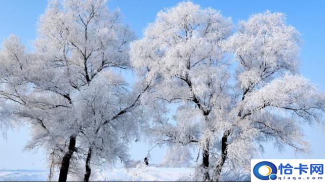 冬月是指的哪个月(冬月是哪一个月)