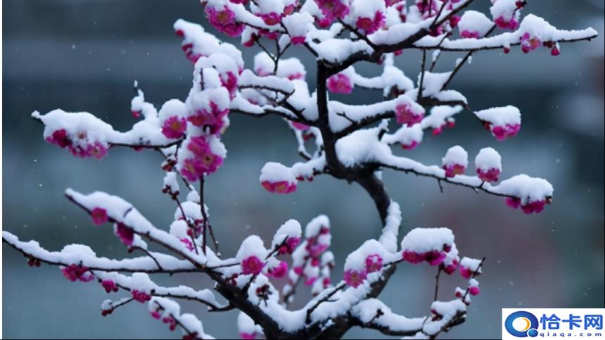 冬月是指的哪个月(冬月是哪一个月)