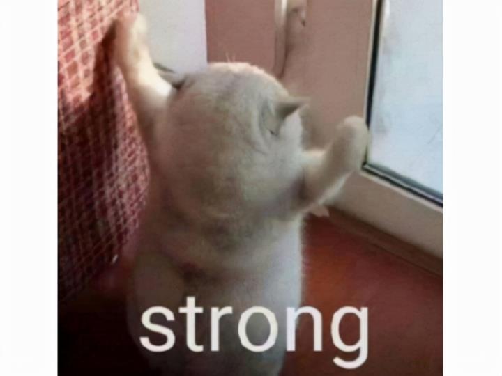 魔兽世界圣骑士天赋加点(魔兽世界圣骑士)