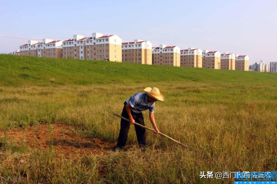 土地征用及拆迁补偿费包括哪些(土地征用及迁移补偿费)