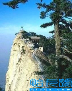 执行保全是什么意思(财产保全的利与弊)