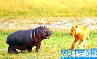 执行保全是什么意思(财产保全的利与弊)